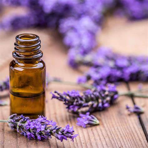 Debunking a Long-standing Lavender Myth