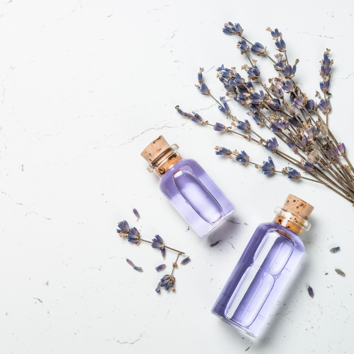 Lavender vs. Anxiety: How Scent Can Trick the Brain (But Not Always)
